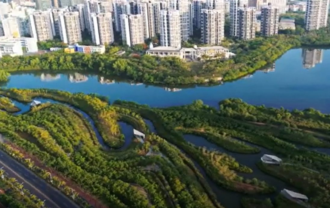 Insight: Ciudades Esponja: Un Futuro Solarpunk para 2030, Future Explored by Freethink