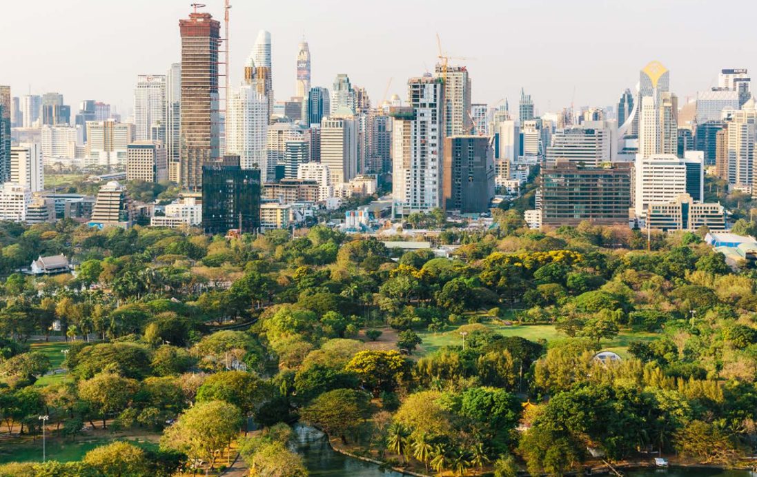Insight: Directrices para la Transición Positiva hacia la Naturaleza en las Ciudades, WEF