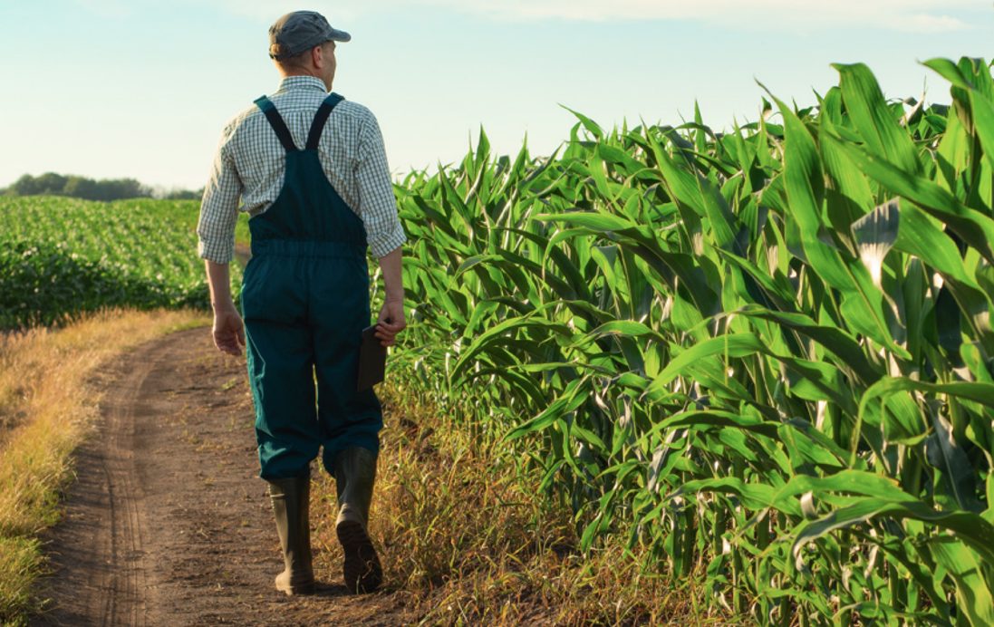 Insight: 100 Millones de Agricultores: Modelos Innovadores para la Transición Sostenible, Foro Económico Mundial