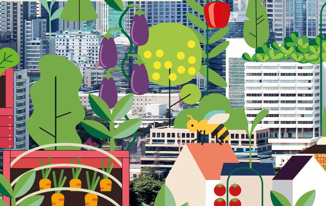 Insight: El potencial de la agricultura urbana para avanzar en múltiples objetivos de sostenibilidad, Programa de las Naciones Unidas para el Medio Ambiente