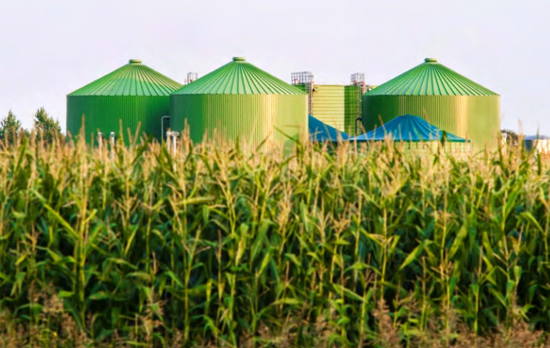 Insight: Directrices para la Eliminación de Dióxido de Carbono, Foro Económico Mundial