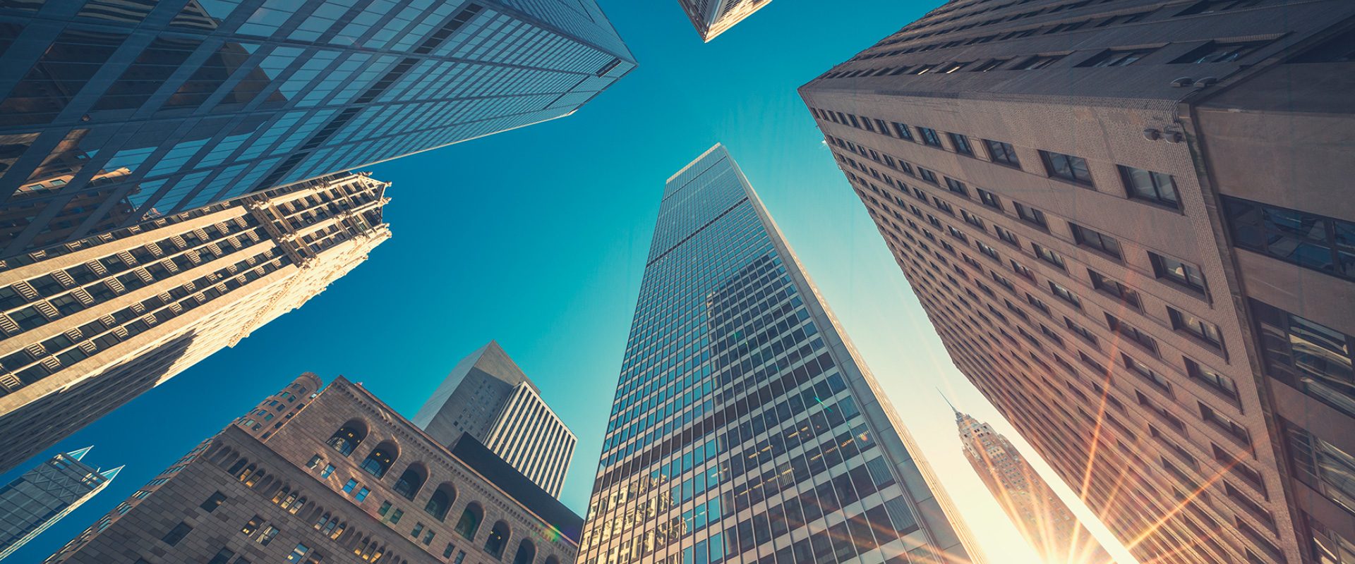 Servicio de asesoría en inversión inmobiliaria y hotelera de UrbanTree Partners